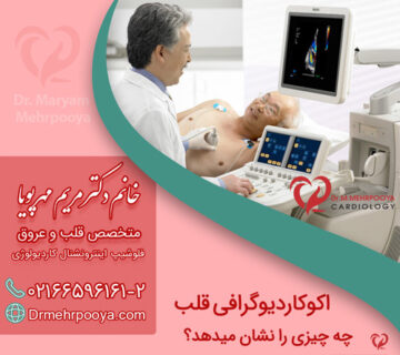 اکوکاردیوگرافی قلب چه چیزی را نشان میدهد؟